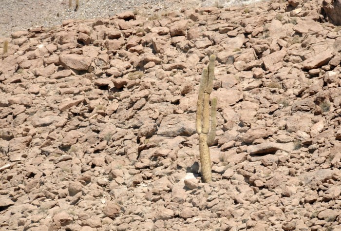  AAC8311