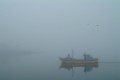 1  Dig. Niebla Ancud