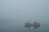 1  Dig. Niebla Ancud