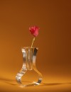 Vase and flower