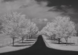 The road to heaven by E. Duprat
